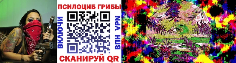 Псилоцибиновые грибы прущие грибы  Купить закладки  Урус-Мартан 