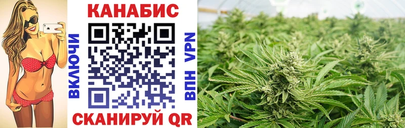Бошки Шишки ГИДРОПОН  Купить закладки  Урус-Мартан 